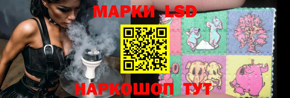 ЛСД экстази кислота  Лсд 25 экстази кислота  blacksprut рабочий сайт  Звенигород  Вход с VPN 