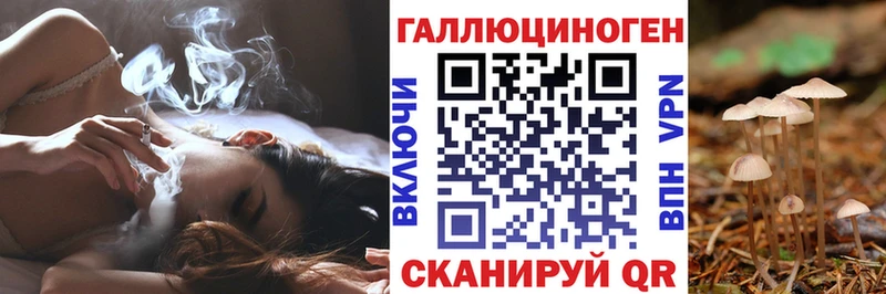 Псилоцибиновые грибы Psilocybe  продажа наркотиков  Звенигород 