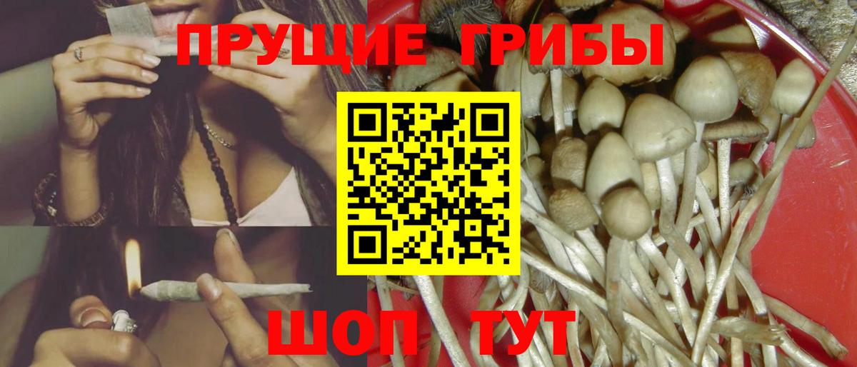 Псилоцибиновые грибы MAGIC MUSHROOMS  Вход с VPN  купить наркотик  Псилоцибиновые грибы Psilocybine cubensis  Звенигород 