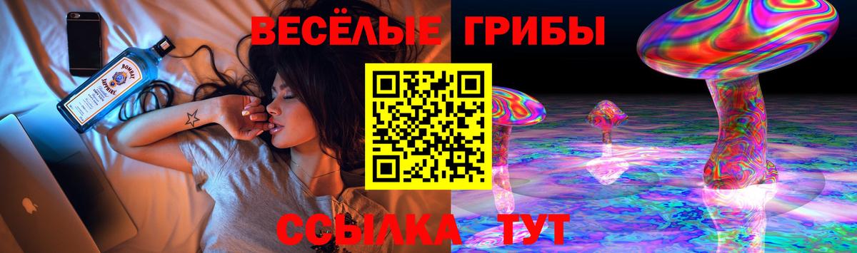 Галлюциногенные грибы Psilocybine cubensis Звенигород